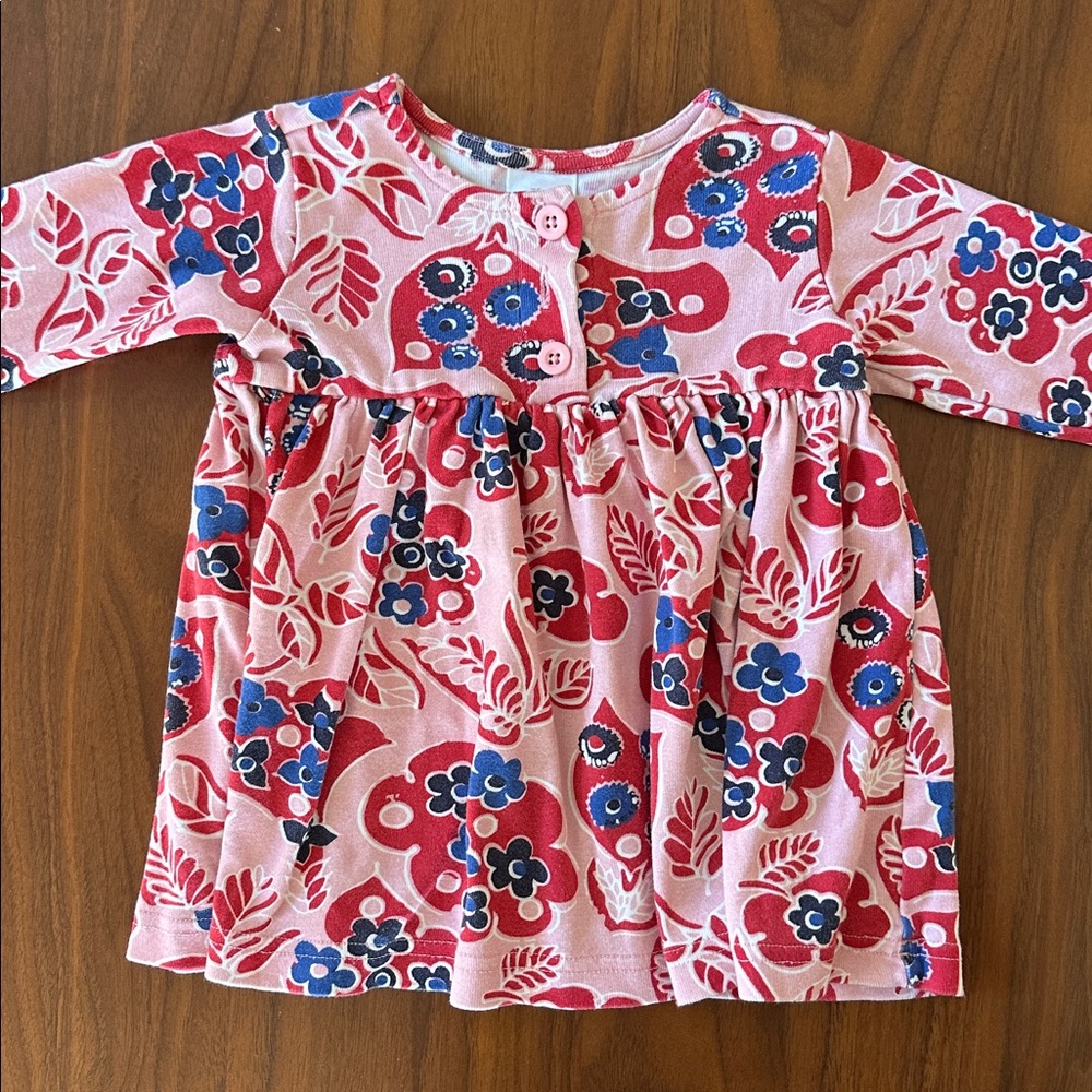 Hanna Andersson Pink and Red Floral long sleeve Dress 12-18m